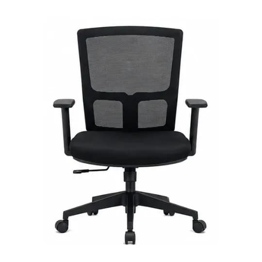 Cadeira Ergonômica Star Flex Basic, foto 1 de 4